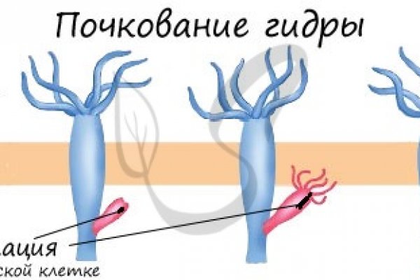 Кракен без впн