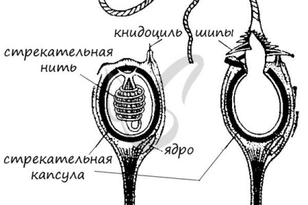 Ссылка на кракен onion kraken dark link