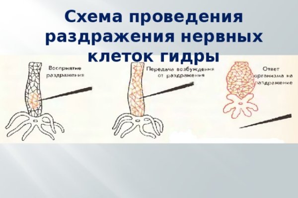 Kraken зеркала kr2web in